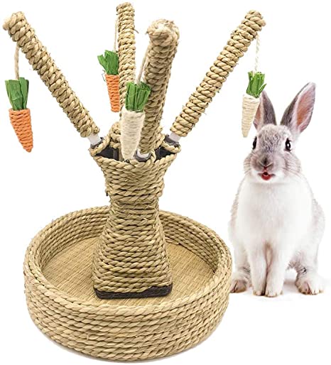 Juguetes Para Conejo