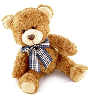 Peluches Con Camaras Espias