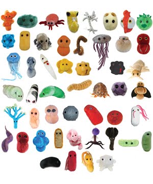 Peluches De Bacterias