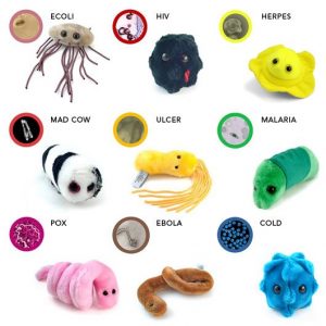 Peluches De Microorganismos