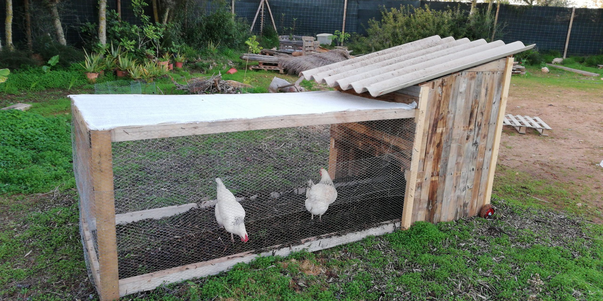 Gallineros Baratos