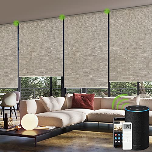 Mejores Estores Eléctricos